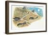 Badgers on a Den (Meles Meles)-null-Framed Giclee Print