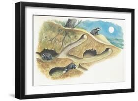 Badgers on a Den (Meles Meles)-null-Framed Giclee Print