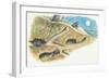 Badgers on a Den (Meles Meles)-null-Framed Giclee Print