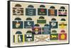 Badges Caps and Colours of English County Cricket Clubs-Alfred Lambert-Framed Stretched Canvas