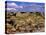 Badlands at Dinosaur Provincial Park in Alberta, Canada-Chuck Haney-Stretched Canvas