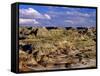 Badlands at Dinosaur Provincial Park in Alberta, Canada-Chuck Haney-Framed Stretched Canvas