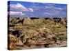 Badlands at Dinosaur Provincial Park in Alberta, Canada-Chuck Haney-Stretched Canvas