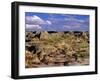 Badlands at Dinosaur Provincial Park in Alberta, Canada-Chuck Haney-Framed Photographic Print