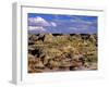 Badlands at Dinosaur Provincial Park in Alberta, Canada-Chuck Haney-Framed Photographic Print