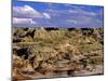 Badlands at Dinosaur Provincial Park in Alberta, Canada-Chuck Haney-Mounted Photographic Print