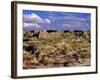 Badlands at Dinosaur Provincial Park in Alberta, Canada-Chuck Haney-Framed Photographic Print