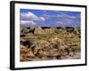 Badlands at Dinosaur Provincial Park in Alberta, Canada-Chuck Haney-Framed Photographic Print