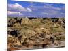 Badlands at Dinosaur Provincial Park in Alberta, Canada-Chuck Haney-Mounted Photographic Print