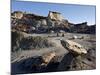 Badlands, Bisti Wilderness, New Mexico, United States of America, North America-James Hager-Mounted Photographic Print