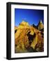 Badlands Formations at Dinosaur Provincial Park in Alberta, Canada-Chuck Haney-Framed Photographic Print