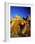 Badlands Formations at Dinosaur Provincial Park in Alberta, Canada-Chuck Haney-Framed Photographic Print