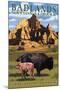 Badlands National Park, South Dakota - Bison Scene-Lantern Press-Mounted Art Print
