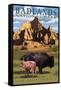 Badlands National Park, South Dakota - Bison Scene-Lantern Press-Framed Stretched Canvas