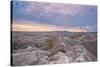 Badlands National Park, South Dakota - Early Morning-Lantern Press-Stretched Canvas