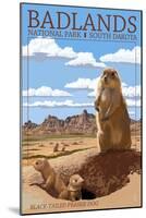 Badlands National Park, South Dakota - Prairie Dogs-Lantern Press-Mounted Art Print