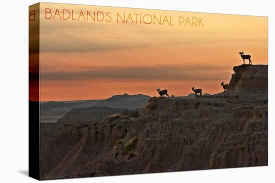 Badlands National Park, South Dakota - Rams on Ridge-Lantern Press-Stretched Canvas