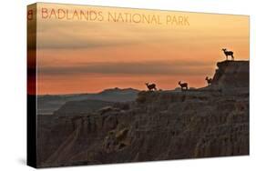 Badlands National Park, South Dakota - Rams on Ridge-Lantern Press-Stretched Canvas