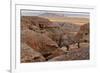 Badlands National Park, South Dakota - Rams Resting-Lantern Press-Framed Premium Giclee Print