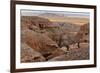 Badlands National Park, South Dakota - Rams Resting-Lantern Press-Framed Premium Giclee Print