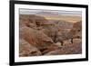 Badlands National Park, South Dakota - Rams Resting-Lantern Press-Framed Premium Giclee Print