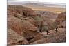 Badlands National Park, South Dakota - Rams Resting-Lantern Press-Mounted Premium Giclee Print