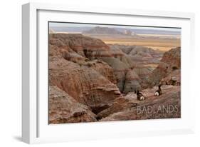 Badlands National Park, South Dakota - Rams Resting-Lantern Press-Framed Art Print