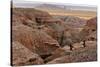 Badlands National Park, South Dakota - Rams Resting-Lantern Press-Stretched Canvas