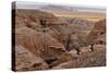 Badlands National Park, South Dakota - Rams Resting-Lantern Press-Stretched Canvas