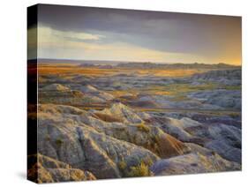 Badlands National Park, South Dakota, USA-Michele Falzone-Stretched Canvas