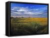 Badlands National Park, South Dakota, USA-Chuck Haney-Framed Stretched Canvas