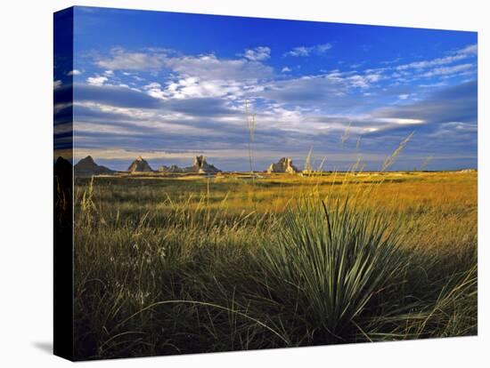 Badlands National Park, South Dakota, USA-Chuck Haney-Stretched Canvas
