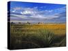 Badlands National Park, South Dakota, USA-Chuck Haney-Stretched Canvas