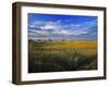 Badlands National Park, South Dakota, USA-Chuck Haney-Framed Photographic Print