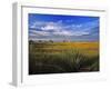 Badlands National Park, South Dakota, USA-Chuck Haney-Framed Photographic Print