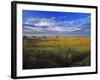 Badlands National Park, South Dakota, USA-Chuck Haney-Framed Photographic Print