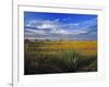 Badlands National Park, South Dakota, USA-Chuck Haney-Framed Photographic Print