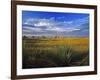 Badlands National Park, South Dakota, USA-Chuck Haney-Framed Photographic Print