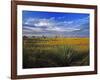 Badlands National Park, South Dakota, USA-Chuck Haney-Framed Photographic Print