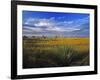 Badlands National Park, South Dakota, USA-Chuck Haney-Framed Photographic Print