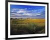 Badlands National Park, South Dakota, USA-Chuck Haney-Framed Photographic Print
