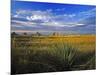Badlands National Park, South Dakota, USA-Chuck Haney-Mounted Photographic Print