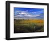 Badlands National Park, South Dakota, USA-Chuck Haney-Framed Photographic Print