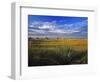 Badlands National Park, South Dakota, USA-Chuck Haney-Framed Photographic Print