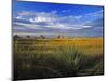 Badlands National Park, South Dakota, USA-Chuck Haney-Mounted Photographic Print