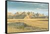 Badlands National Park, South Dakota, Usa-Michael Runkel-Framed Stretched Canvas