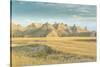 Badlands National Park, South Dakota, Usa-Michael Runkel-Stretched Canvas