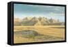 Badlands National Park, South Dakota, Usa-Michael Runkel-Framed Stretched Canvas