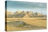 Badlands National Park, South Dakota, Usa-Michael Runkel-Stretched Canvas