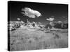 Badlands National Park, South Dakota-Carol Highsmith-Stretched Canvas